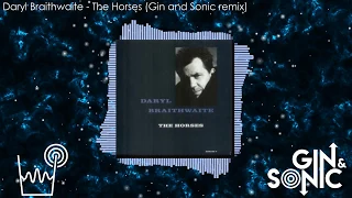 Daryl Braithwaite - The Horses (Gin and Sonic remix)