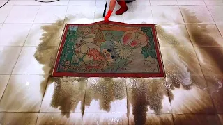 The struggle of the carpet that is too dirty to touch