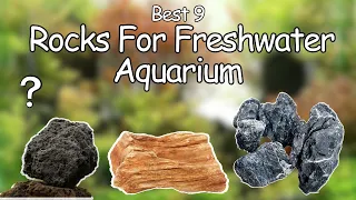 The 9 Best Aquarium Rocks 🤘