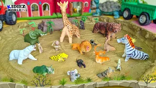 Wild Zoo Animals Mud Adventure! 🌍🦁 Fun Learning for Kids🐾 | Kidiez World TV