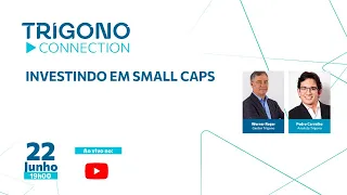 INVESTINDO EM SMALL CAPS