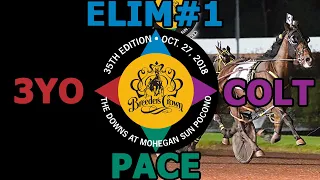 2018 Breeders Crown Elim#1 - Dorsoduro Hanover - 3YO Colt Pace