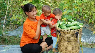 Single mom, Harvest cucumbers goes to the market sell, Make banana cake, Take care of children