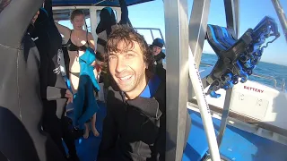 White Shark Cage Diving - Gansbaai - South Africa Aug/2019