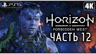 HORIZON FORBIDDEN WEST (Запретный Запад) ➤ Прохождение [4K PS5] ─ Часть 12 ➤ Horizon 2 На Русском