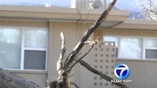 White Sands Pressure Shatters Windows