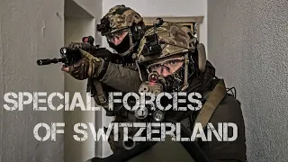 Special Forces Of Switzerland - 2019 - Spezialkräfte Der Schweiz