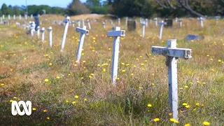 The cemetery where the dead are buried by people who never knew them | ABC Australia
