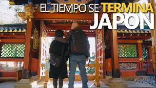 ME SORPRENDIO VIAJAR AL SUR DE JAPON: SHIZUOKA | JAPANISTIC
