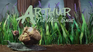 Arthur The Mail Snail (Stop Motion Short Film)