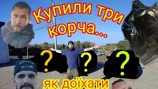 Купуємо три авто до 1500$ в Україні. Що можна купити? Битва перекупів