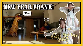 NEW YEAR in KOREA | PRANK MY LOLA WITH T-REX AIR SUIT! // DASURI CHOI