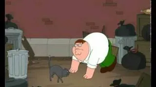 Family Guy - Peter's turf war with a cat