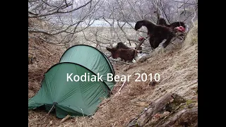 Kodiak Bear--2010-- with Rich & Brian