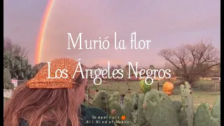 Murió la flor - Los Ángeles Negros [Germaín de la Fuente] [letra - lyrics] HQ 🍊