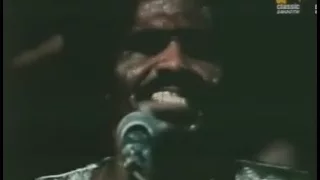 James Brown - It's a man's man's man's world (live)