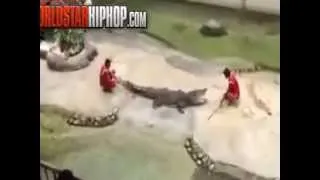 Man gets head bitten by a crocodile