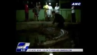 World's largest croc in captivity dies