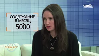 16 02 2018  Полдень