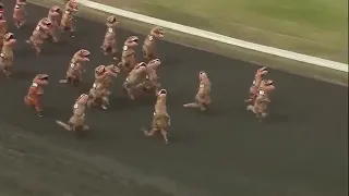 T Rex race
