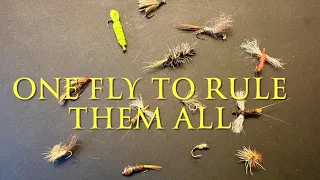 One Fly To Rule Them All - The Versatile, Humble, Effective and Dependable CK Nymph