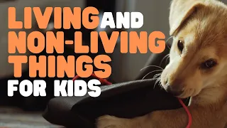 Living and Non-living Things for Kids | Learn why some things are alive and others are not