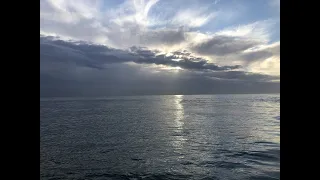 Asverstrooiing op de Noordzee vanuit Scheveningen
