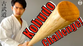 Learning A Bo (Staff) Kata in 24 Hours!