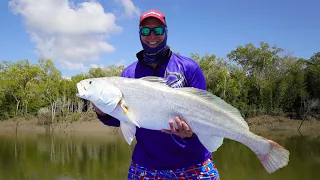 A Massive Jewfish || 15 Species Challenge