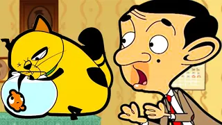 Kedi balık yemek istiyor! | Mr Bean | Türk Çocuk Çizgi Filmleri | WildBrain Türkçe