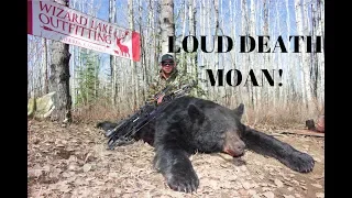 Death Moan!! Big Bear shot at 15 yards!