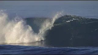 Three Days of Fun Reef Wedges!