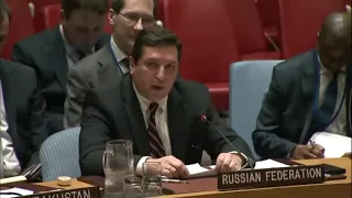 Выступление Сафронкова в Совбезе ООН
