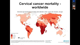 HPV Vaccination Programs for Cervical Cancer Prevention in LMICs