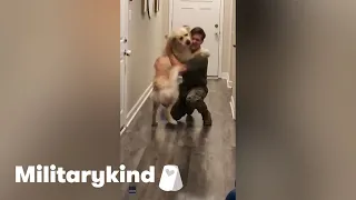Giddy Golden Retriever leaps into dad's arms | Militarykind