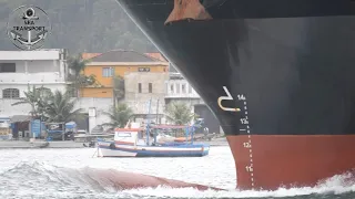 5 SHIPS IN MOTION, SHIPSPOTTING SANTOS PORT #190