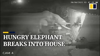 Hungry elephant smashes down kitchen wall to pilfer food in southern Indian village