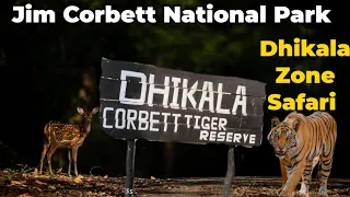 Jim Corbett National Park | Tour & Guide to Dhikala zone | Night Stay at Dhikala Forest Rest house