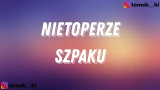 Szpaku - NIETOPERZE (TEKST/LYRICS)