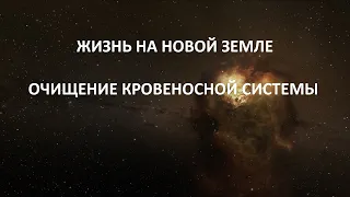 ЖИЗНЬ НА НОВОЙ ЗЕМЛЕ  , ОЧИЩЕНИЕ КРОВЕНОСНОЙ СИСТЕМЫ