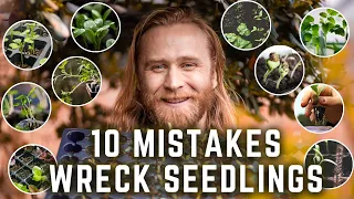 How to Start Seeds Indoors: 10 Mistakes to Avoid