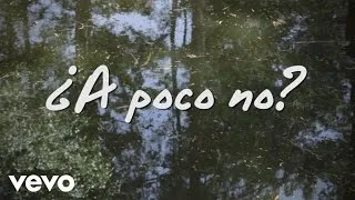 José Madero - ¿A Poco No? (Lyric Video)