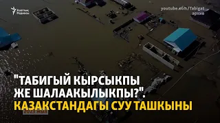 "Табигый кырсыкпы же шалаакылыкпы?". Казакстандагы суу ташкыны