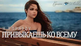 И вправду - ПРИВЫКАЕШЬ КО ВСЕМУ... @LovePoemsandStories  0+ || Канал Стихи о Любви