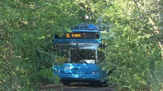 Лесной троллейбус или самая необычная конечная для электротранспорта
