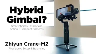 Zhiyun Crane-M2 Gimbal... Terrific or Trouble?