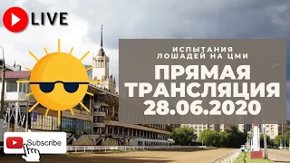 28.06.2020. Прямая трансляция с ЦМИ. 1й месяц лета заканчивается.