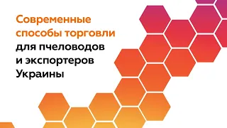 Как продать и купить мед оптом в Украине в 2020 году?