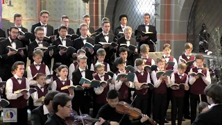 Knabenchor capella vocalis (Christian Bonath) | "Herr, unser Herrscher" aus "Johannes-Passion"