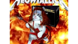 MEOWTALLICA "Meow That's What I Call Music!" [OFFICIAL] HD